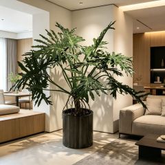 155CM Custom Design Potted Artificial Philodendron Plant for Home Decor,155CM Custom Design Potted Artificial Philodendron Plant for Home Decor