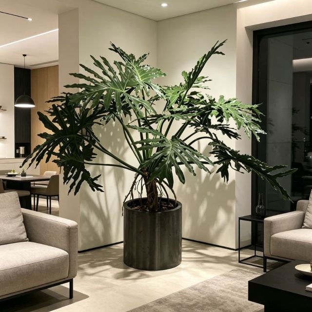 155CM Custom Design Potted Artificial Philodendron Plant for Home Decor,155CM Custom Design Potted Artificial Philodendron Plant for Home Decor