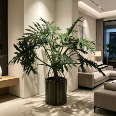 155CM Custom Design Potted Artificial Philodendron Plant for Home Decor,155CM Custom Design Potted Artificial Philodendron Plant for Home Decor