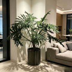155CM Custom Design Potted Artificial Philodendron Plant for Home Decor,155CM Custom Design Potted Artificial Philodendron Plant for Home Decor