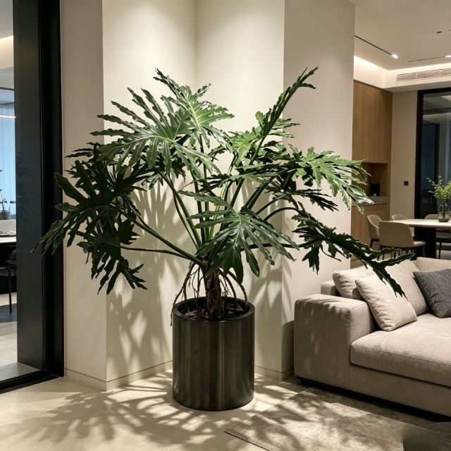 155CM Custom Design Potted Artificial Philodendron Plant for Home Decor,155CM Custom Design Potted Artificial Philodendron Plant for Home Decor