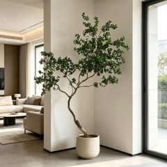 250CM Permium Quality Curved Trunk Artificial Schefflera Floor Tree for Interor Design,250CM Permium Quality Curved Trunk Artificial Schefflera Floor Tree for Interor Design