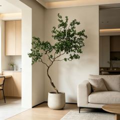 250CM Permium Quality Curved Trunk Artificial Schefflera Floor Tree for Interor Design,250CM Permium Quality Curved Trunk Artificial Schefflera Floor Tree for Interor Design