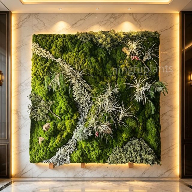 Mixed Preserved Moss Wall Art with Air Plants for Indoor Wall Decor,Mixed Preserved Moss Wall Art with Air Plants for Indoor Wall Decor