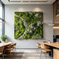 Mixed Preserved Moss Wall Art with Air Plants for Indoor Wall Decor,Mixed Preserved Moss Wall Art with Air Plants for Indoor Wall Decor