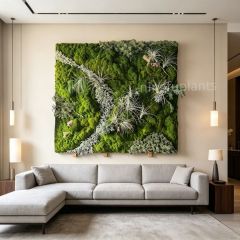 Mixed Preserved Moss Wall Art with Air Plants for Indoor Wall Decor,Mixed Preserved Moss Wall Art with Air Plants for Indoor Wall Decor