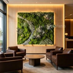 Mixed Preserved Moss Wall Art with Air Plants for Indoor Wall Decor,Mixed Preserved Moss Wall Art with Air Plants for Indoor Wall Decor