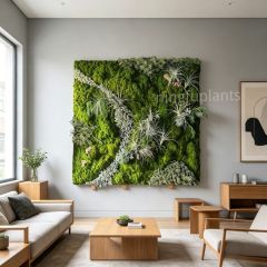 Mixed Preserved Moss Wall Art with Air Plants for Indoor Wall Decor,Mixed Preserved Moss Wall Art with Air Plants for Indoor Wall Decor