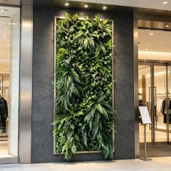 High Quality Backlit Full-Fern Artificial Vertical Green Wall for Interior Design,High Quality Backlit Full-Fern Artificial Vertical Green Wall for Interior Design