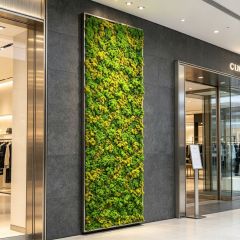 Permium Quality Tall Vertical Backlit Preserved Reindeer Moss Wall Panel for Home Decor,Permium Quality Tall Vertical Backlit Preserved Reindeer Moss Wall Panel for Home Decor