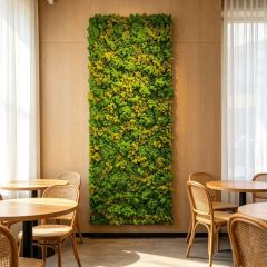 Permium Quality Tall Vertical Backlit Preserved Reindeer Moss Wall Panel for Home Decor,Permium Quality Tall Vertical Backlit Preserved Reindeer Moss Wall Panel for Home Decor