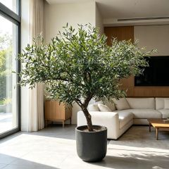 220CM Realistic Artificial Olive Tree for Interior Design,220CM Realistic Artificial Olive Tree for Interior Design