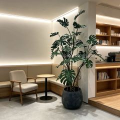 215CM High Similirity Artificial Monstera Plant With Pot for Indoor Decor,215CM High Similirity Artificial Monstera Plant With Pot for Indoor Decor