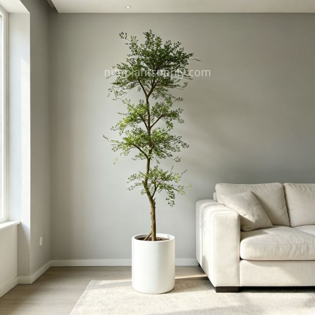 220CM High Simulated Artificial Nandina Tree with Wooden Base for Interior Design,220CM High Simulated Artificial Nandina Tree with Wooden Base for Interior Design