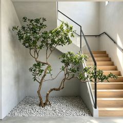 200CM Premium Quality Large Artificial Stylish Pieris Tree for Interior Landscape Decor,200CM Premium Quality Large Artificial Stylish Pieris Tree for Interior Landscape Decor