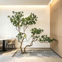 200CM Premium Quality Large Artificial Stylish Pieris Tree for Interior Landscape Decor,200CM Premium Quality Large Artificial Stylish Pieris Tree for Interior Landscape Decor