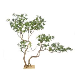 200CM Premium Quality Large Artificial Stylish Pieris Tree for Interior Landscape Decor,200CM Premium Quality Large Artificial Stylish Pieris Tree for Interior Landscape Decor