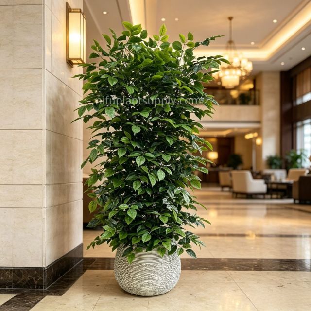185CM Full Bushy Large Artificial Leafy Potted Tree for Indoor Decor,185CM Full Bushy Large Artificial Leafy Potted Tree for Indoor Decor