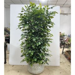 185CM Full Bushy Large Artificial Leafy Potted Tree for Indoor Decor,185CM Full Bushy Large Artificial Leafy Potted Tree for Indoor Decor