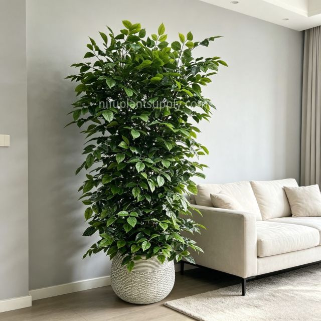 185CM Full Bushy Large Artificial Leafy Potted Tree for Indoor Decor,185CM Full Bushy Large Artificial Leafy Potted Tree for Indoor Decor