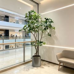 210CM High Similarity Large Artificial Schefflera Potted Tree for Interior Design,210CM High Similarity Large Artificial Schefflera Potted Tree for Interior Design