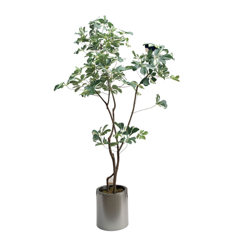 210CM High Similarity Large Artificial Schefflera Potted Tree for Interior Design,210CM High Similarity Large Artificial Schefflera Potted Tree for Interior Design