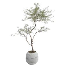 175CM Highly Realistic Artificial Nandina Potted Tree for Interior Design,175CM Highly Realistic Artificial Nandina Potted Tree for Interior Design