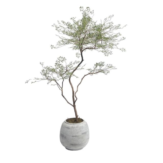 175CM Highly Realistic Artificial Nandina Potted Tree for Interior Design,175CM Highly Realistic Artificial Nandina Potted Tree for Interior Design