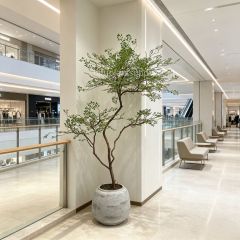 175CM Highly Realistic Artificial Nandina Potted Tree for Interior Design,175CM Highly Realistic Artificial Nandina Potted Tree for Interior Design