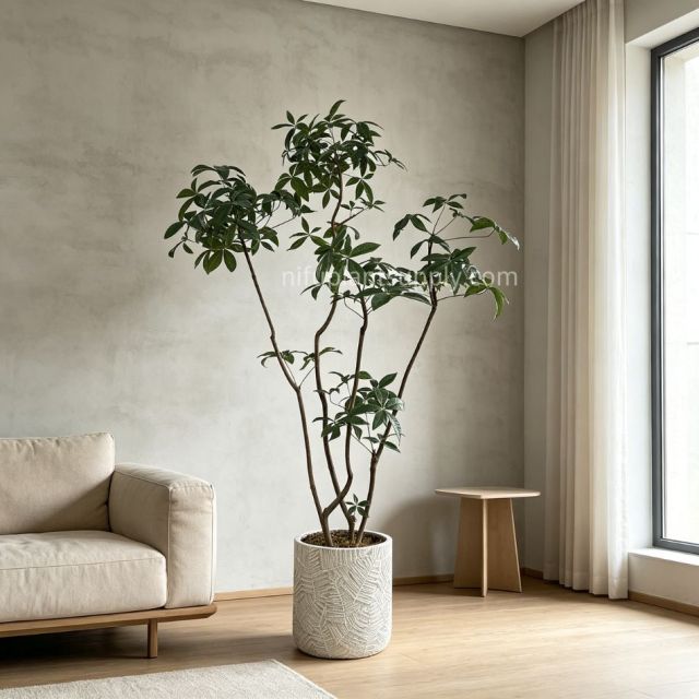 230CM High Quality Artificial Schefflera Potted Tree for Home Decor,230CM High Quality Artificial Schefflera Potted Tree for Home Decor
