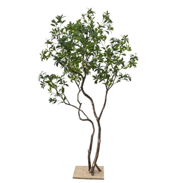 180CM Highly Realistic Artificial Pieris Tree for Interior Design,180CM Highly Realistic Artificial Pieris Tree for Interior Design