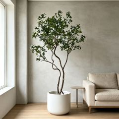 180CM Highly Realistic Artificial Pieris Tree for Interior Design,180CM Highly Realistic Artificial Pieris Tree for Interior Design