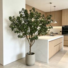 230CM Highly Realistic Large Artificial Pieris Tree for Interior Design,230CM Highly Realistic Large Artificial Pieris Tree for Interior Design
