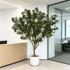 230CM Highly Realistic Large Artificial Pieris Tree for Interior Design,230CM Highly Realistic Large Artificial Pieris Tree for Interior Design