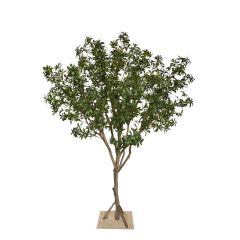 230CM Highly Realistic Large Artificial Pieris Tree for Interior Design,230CM Highly Realistic Large Artificial Pieris Tree for Interior Design