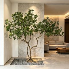 230CM Permium Quality Artistic Twisted Large Artificial Pieris Tree for Interior Design,230CM Permium Quality Artistic Twisted Large Artificial Pieris Tree for Interior Design