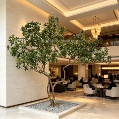 230CM Permium Quality Artistic Twisted Large Artificial Pieris Tree for Interior Design,230CM Permium Quality Artistic Twisted Large Artificial Pieris Tree for Interior Design