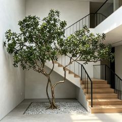 230CM Permium Quality Artistic Twisted Large Artificial Pieris Tree for Interior Design,230CM Permium Quality Artistic Twisted Large Artificial Pieris Tree for Interior Design