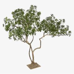230CM Permium Quality Artistic Twisted Large Artificial Pieris Tree for Interior Design,230CM Permium Quality Artistic Twisted Large Artificial Pieris Tree for Interior Design
