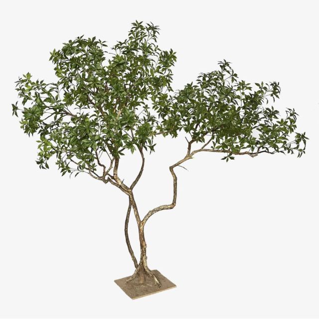230CM Permium Quality Artistic Twisted Large Artificial Pieris Tree for Interior Design,230CM Permium Quality Artistic Twisted Large Artificial Pieris Tree for Interior Design