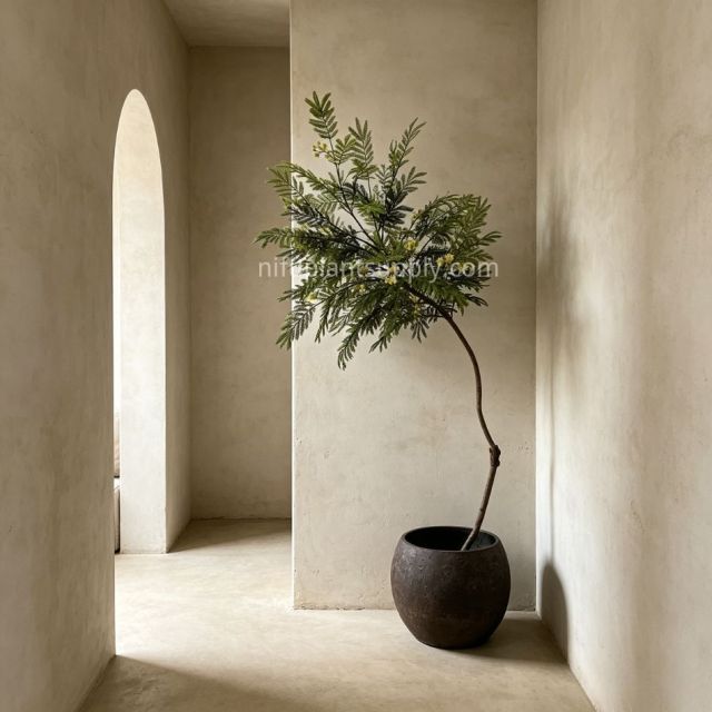 210CM Premium Quality Artificial Mimosa Potted Tree for Interior Design,210CM Premium Quality Artificial Mimosa Potted Tree for Interior Design