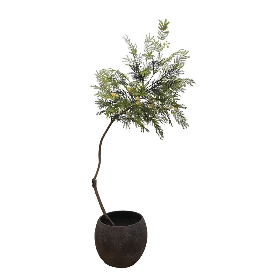 210CM Premium Quality Artificial Mimosa Potted Tree for Interior Design,210CM Premium Quality Artificial Mimosa Potted Tree for Interior Design