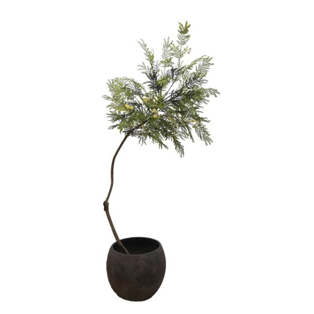 210CM Premium Quality Artificial Mimosa Potted Tree for Interior Design,210CM Premium Quality Artificial Mimosa Potted Tree for Interior Design