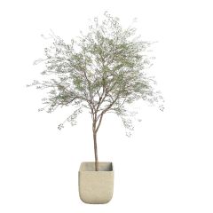 270CM Premium Quality Artificial Potted Delicate Leaf Tree for Home Decor,270CM Premium Quality Artificial Potted Delicate Leaf Tree for Home Decor