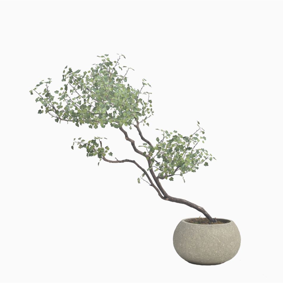 110CM Premium Quality Artificial Stylish Bonsai Potted Tree for Interior Design,110CM Premium Quality Artificial Stylish Bonsai Potted Tree for Interior Design