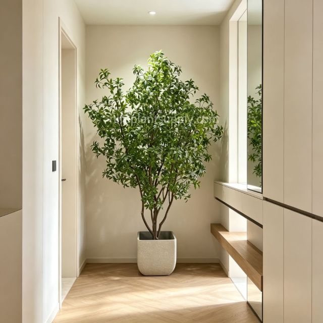 260CM Premium Quality Large Artificial Pieris Potted Tree for Home Decor,260CM Premium Quality Large Artificial Pieris Potted Tree for Home Decor