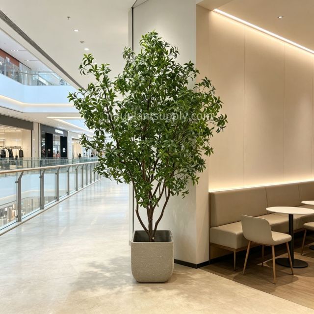 260CM Premium Quality Large Artificial Pieris Potted Tree for Home Decor,260CM Premium Quality Large Artificial Pieris Potted Tree for Home Decor