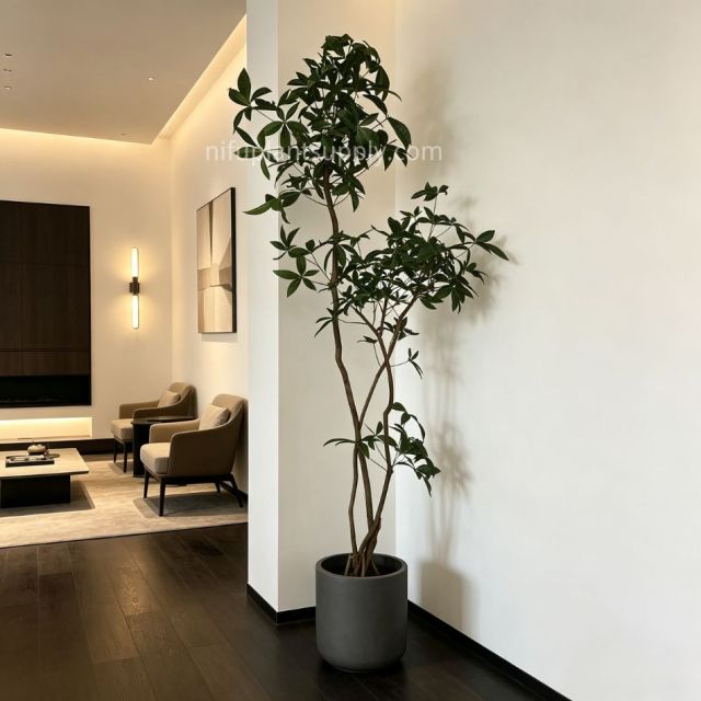 220CM Premium Quality Artificial Money Tree for Interior Design,220CM Premium Quality Artificial Money Tree for Interior Design