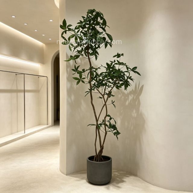 220CM Premium Quality Artificial Money Tree for Interior Design,220CM Premium Quality Artificial Money Tree for Interior Design