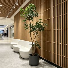 220CM Premium Quality Artificial Money Tree for Interior Design,220CM Premium Quality Artificial Money Tree for Interior Design